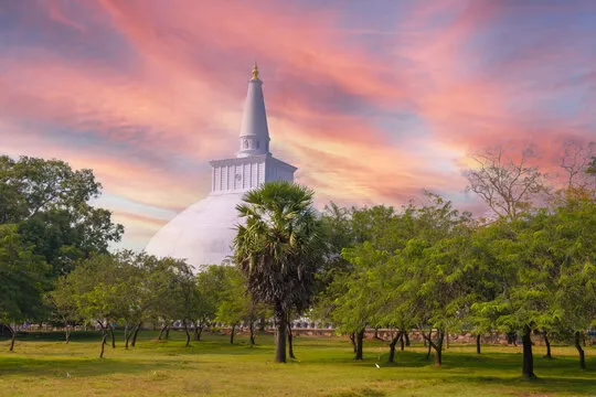 Read more about the article Anuradhapura