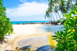 Read more about the article Bentota