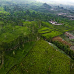 Nuwara Eliya