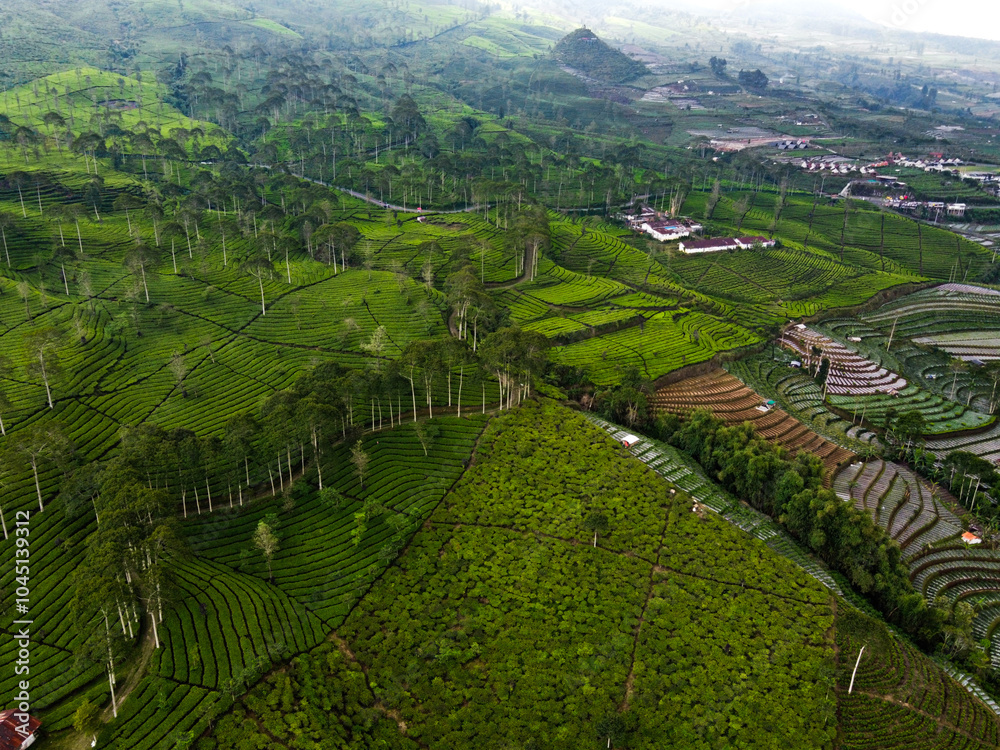 You are currently viewing Nuwara Eliya